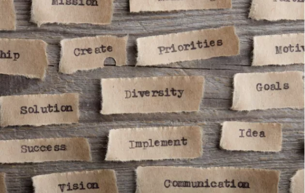 Paper labels: Diversity, Priorities, Create, Implement, Success